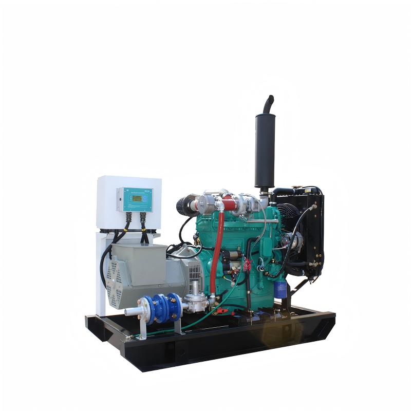 20KW Gas Biogas Generator LPG 30KW