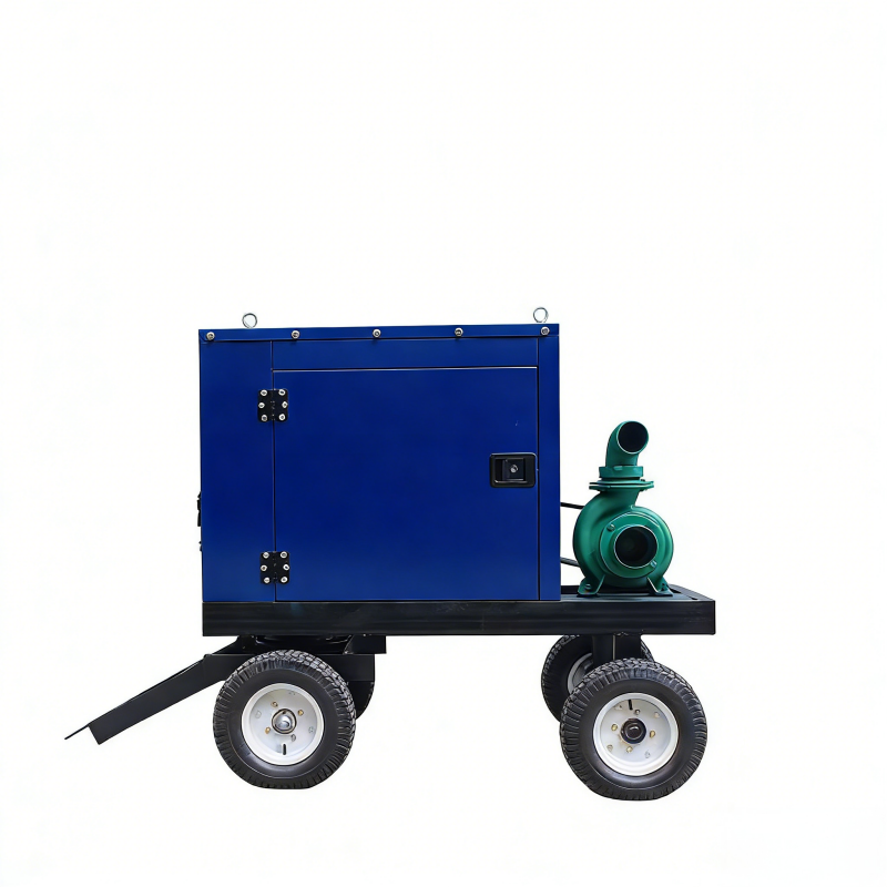 Diesel generator water pump